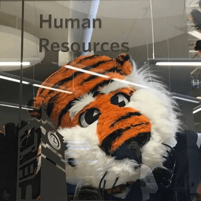 Auburn University Human Resources color logo