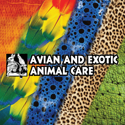 Avian And Exotic color logo