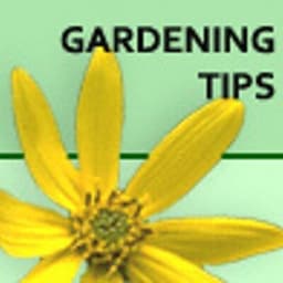 Backyardgardener