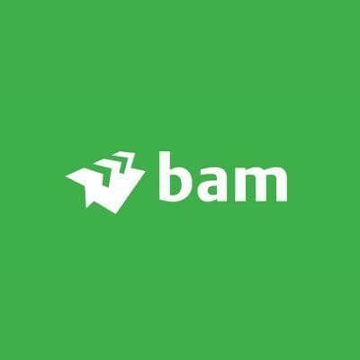 Kon. BAM Groep nv color logo