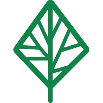 BANYAN color logo