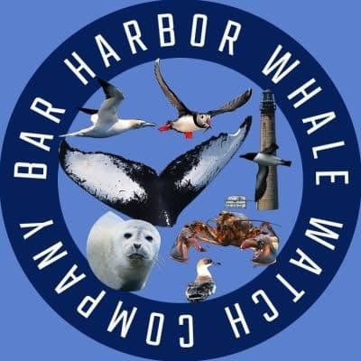 Bar Harbor Whale color logo