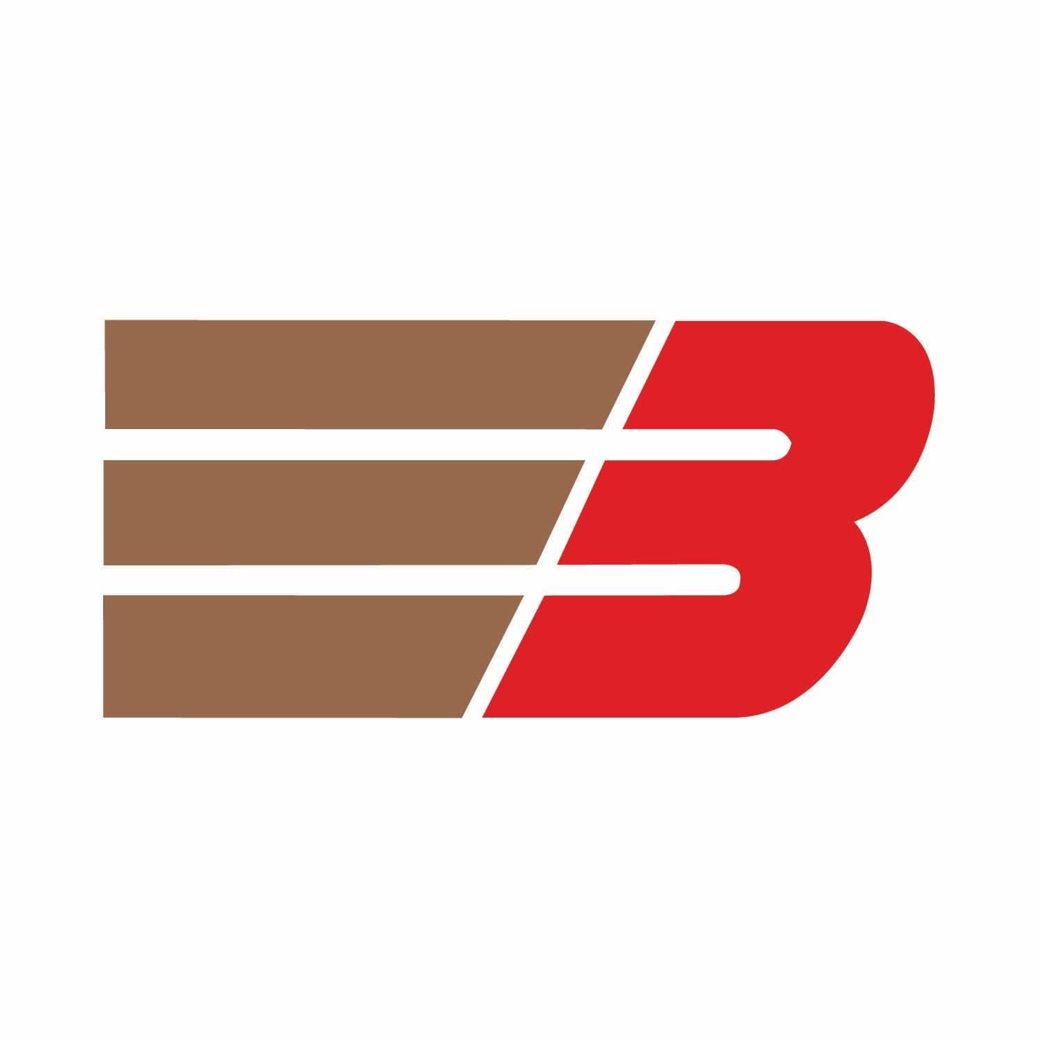 Barnes Bullets color logo