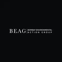 BEAG color logo