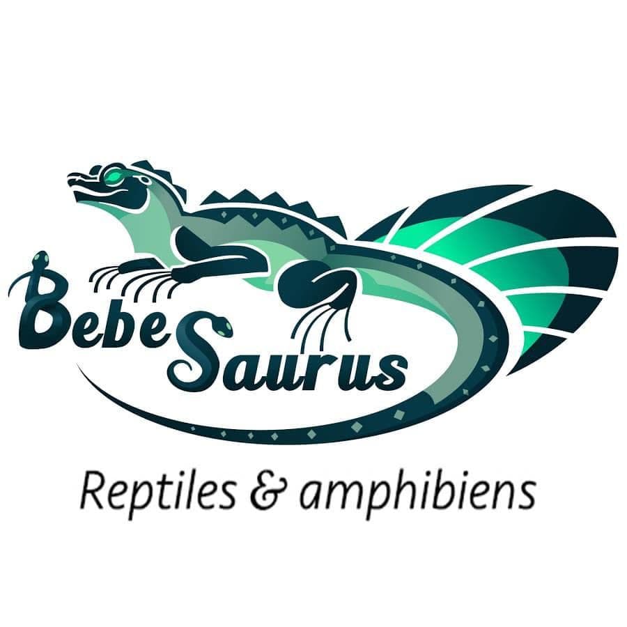Bebesaurus color logo