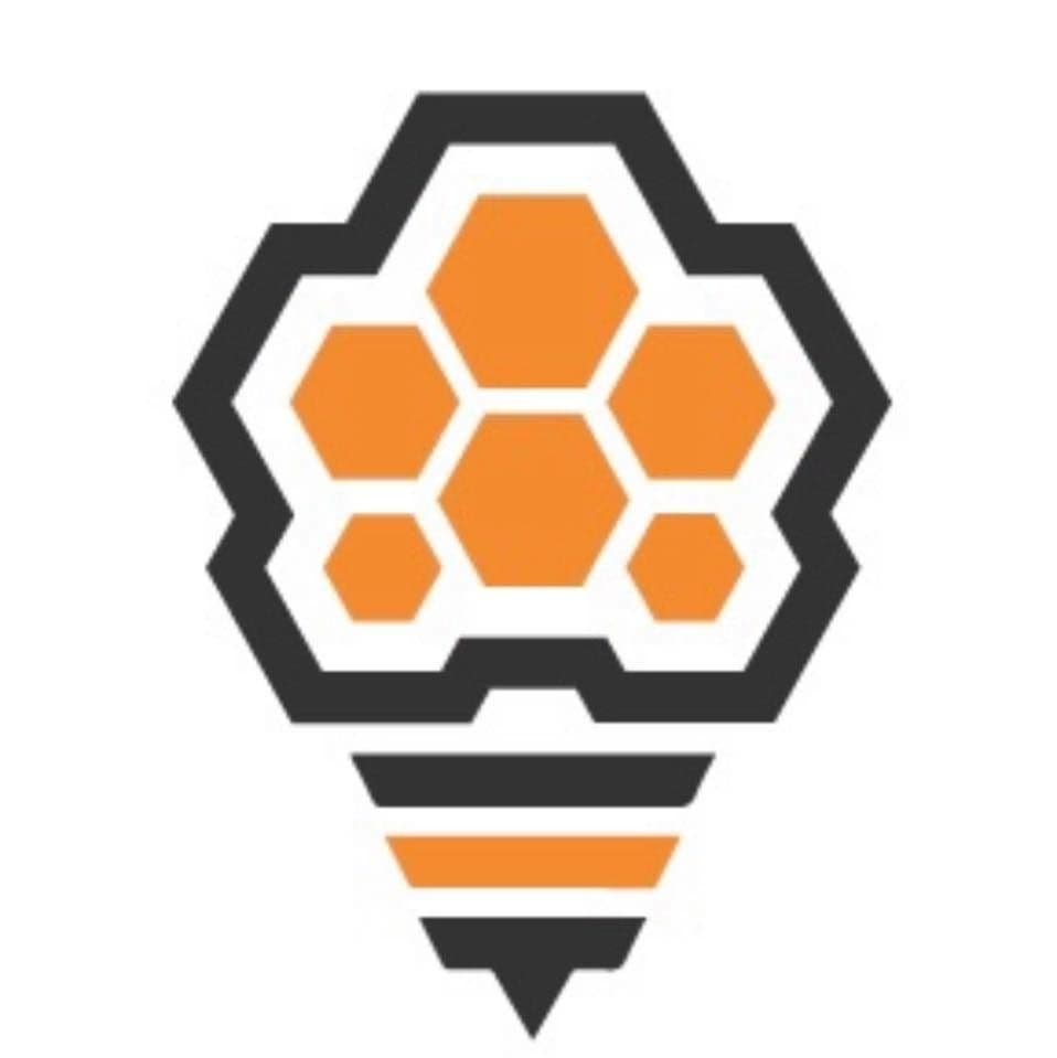 Bees Lighting color logo