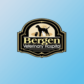 -Bergen Vet color logo