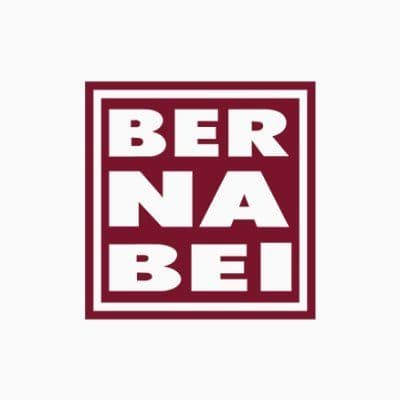 Bernabei color logo