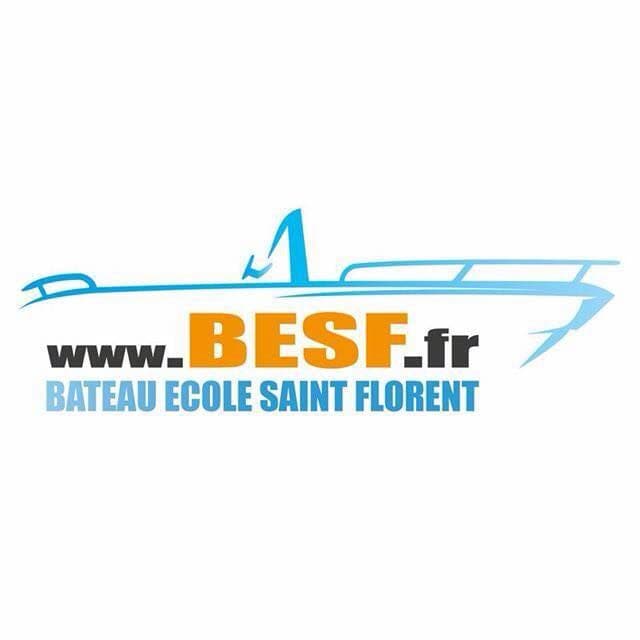 BESF color logo