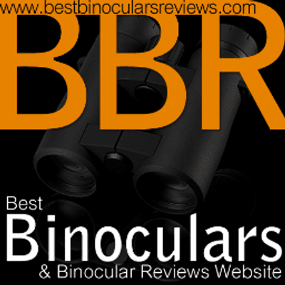 Best Bino Reviews color logo