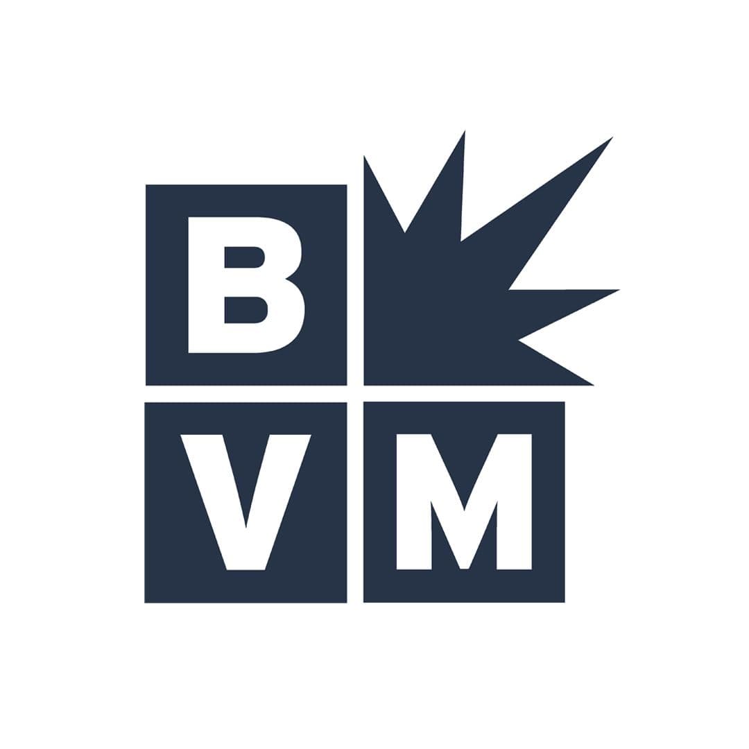 Best Version Media color logo