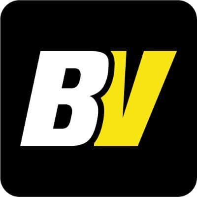 Betvisa color logo