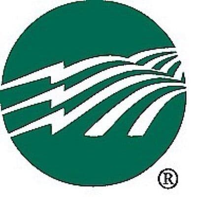 BGEnergy color logo