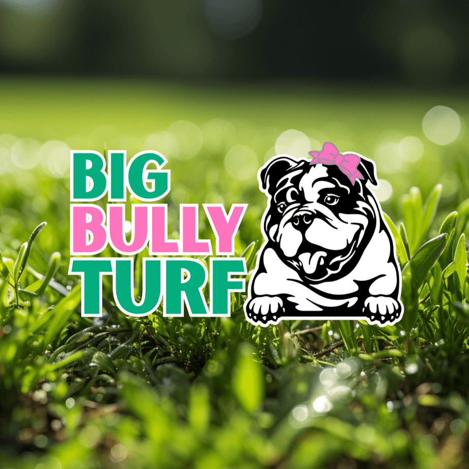 Big Bully Turf color logo