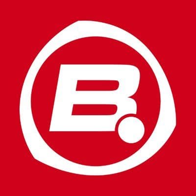 Bigpoint color logo
