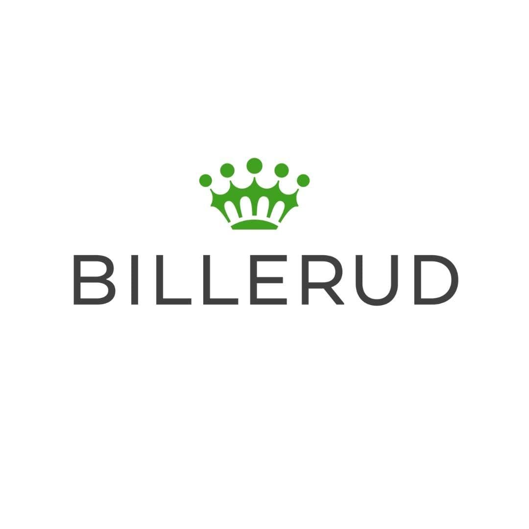 Billerud color logo
