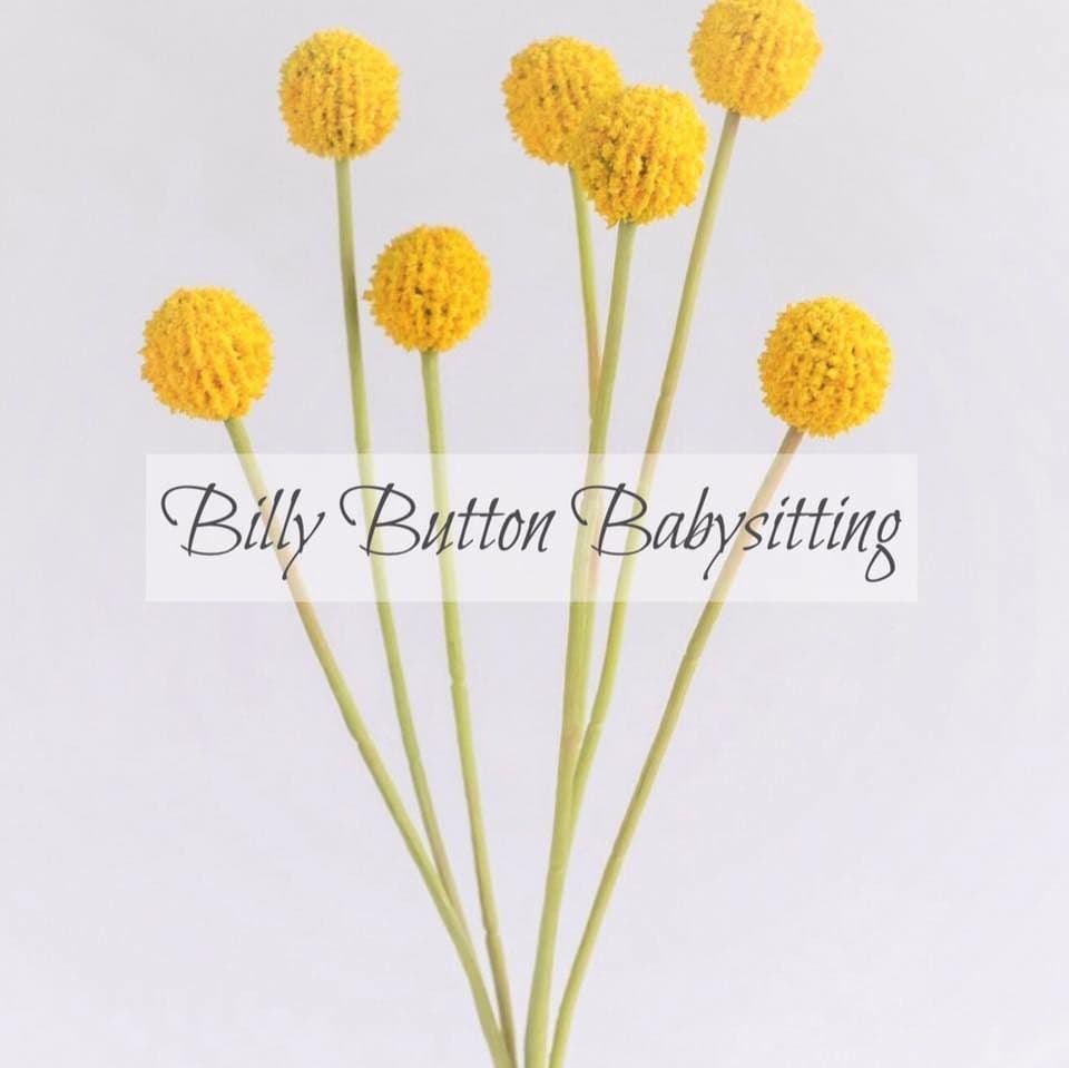 BILLY BUTTON BABYSITTING color logo