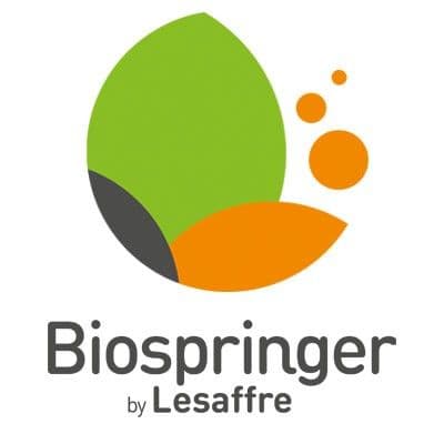 Biospringer color logo