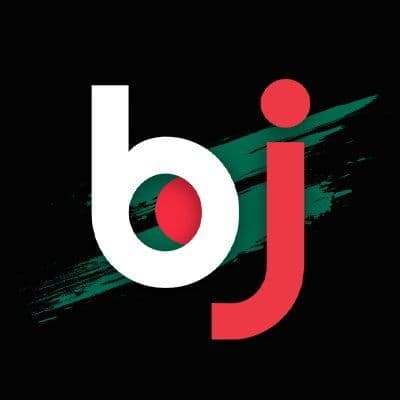 Bj Baji color logo