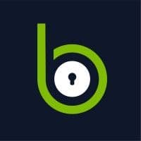Blackpoint color logo