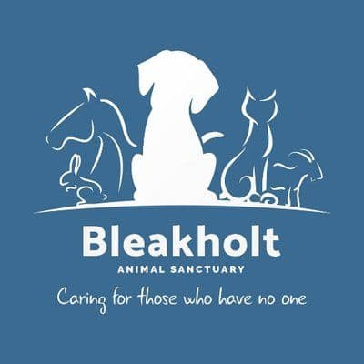 Bleakholt Official color logo