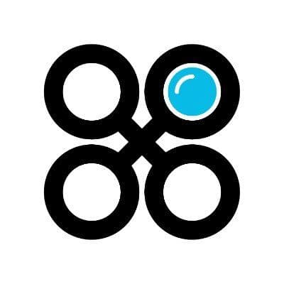 Bold Insight color logo