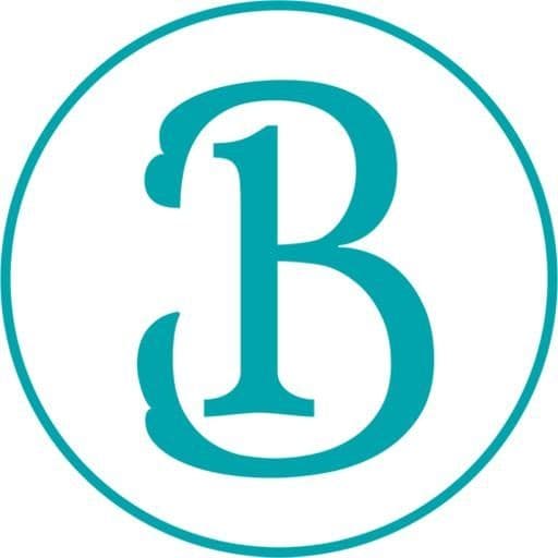 Bonrila Holidays color logo