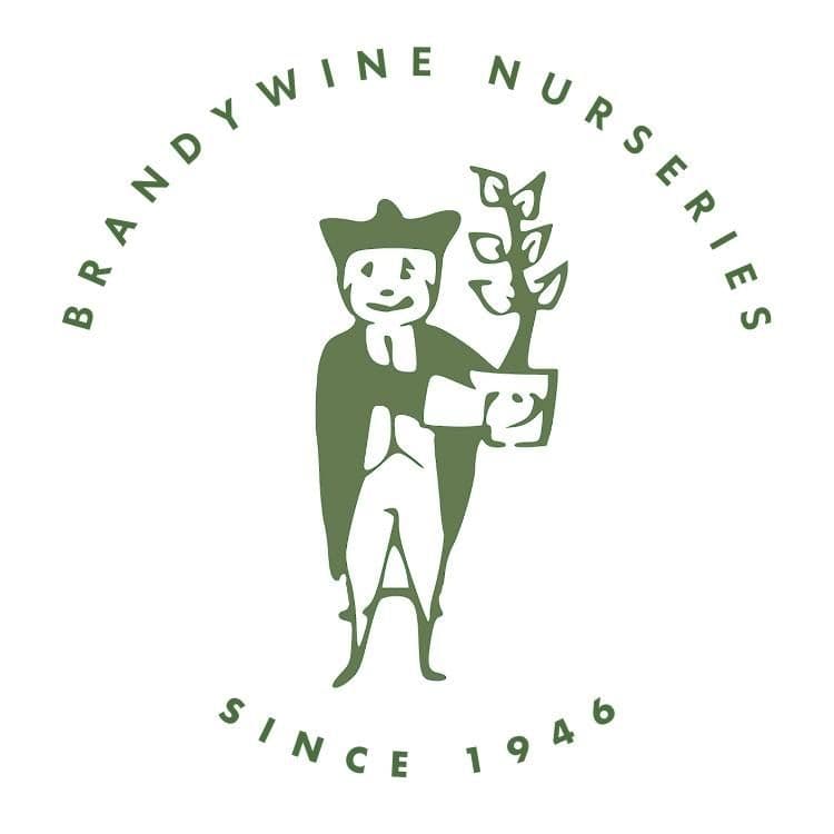 Brandywine Nurseries color logo