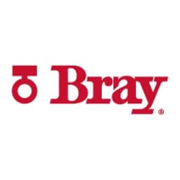 Bray International