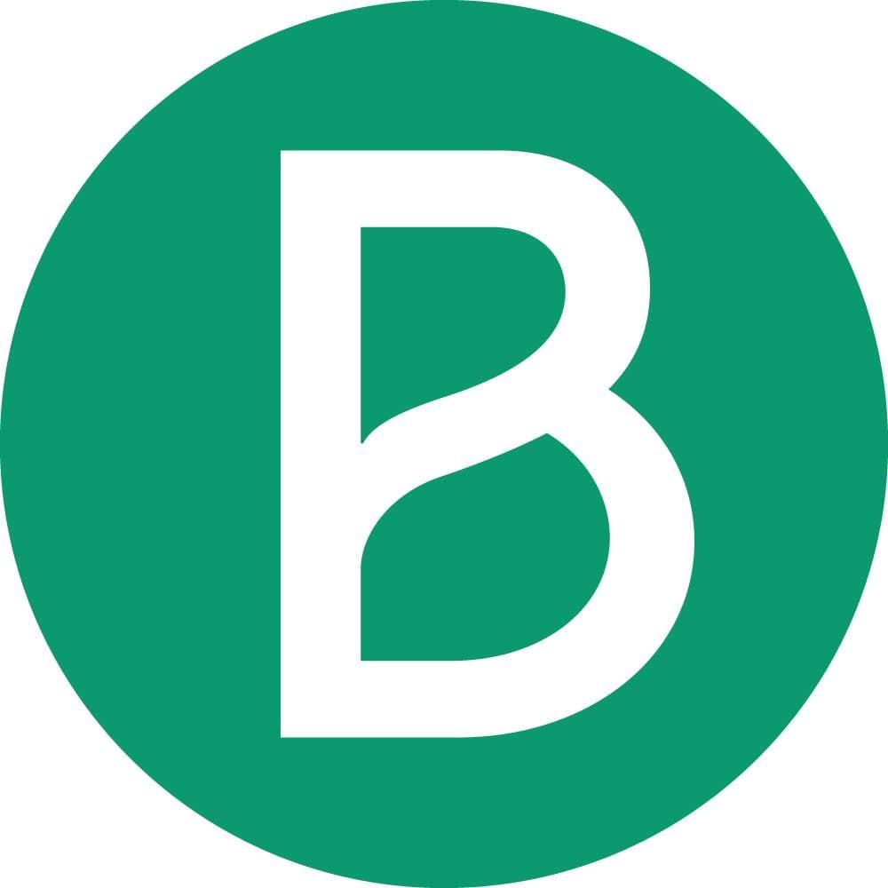 Brevo color logo