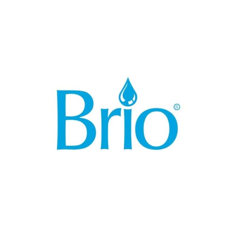 Brio color logo