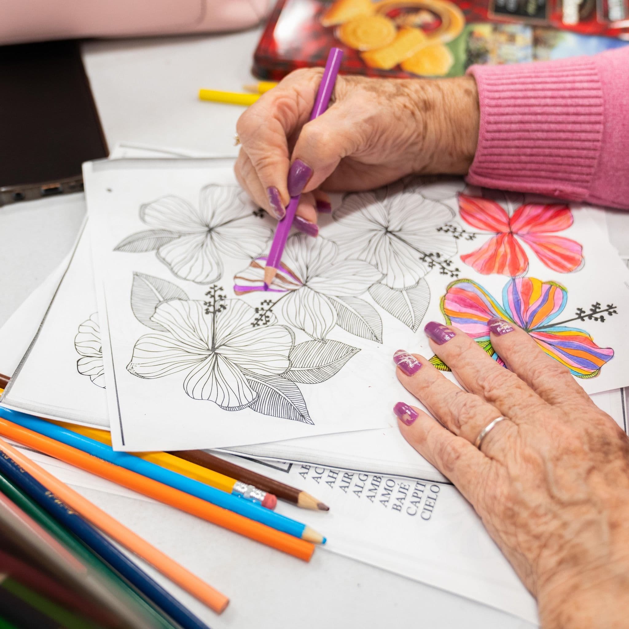 Buena Vida Adult Day Health Center color logo