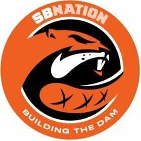 Building The Dam color logo