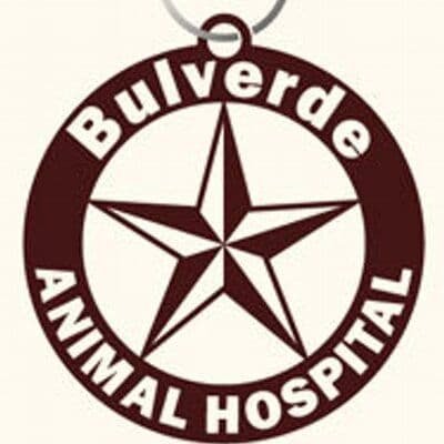 Bulverde Animal Hosp color logo
