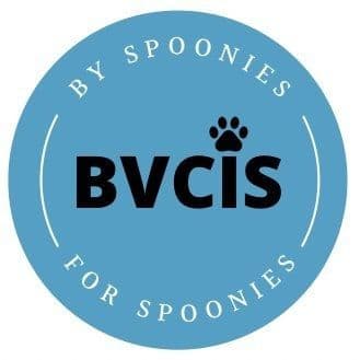 BVCIS color logo
