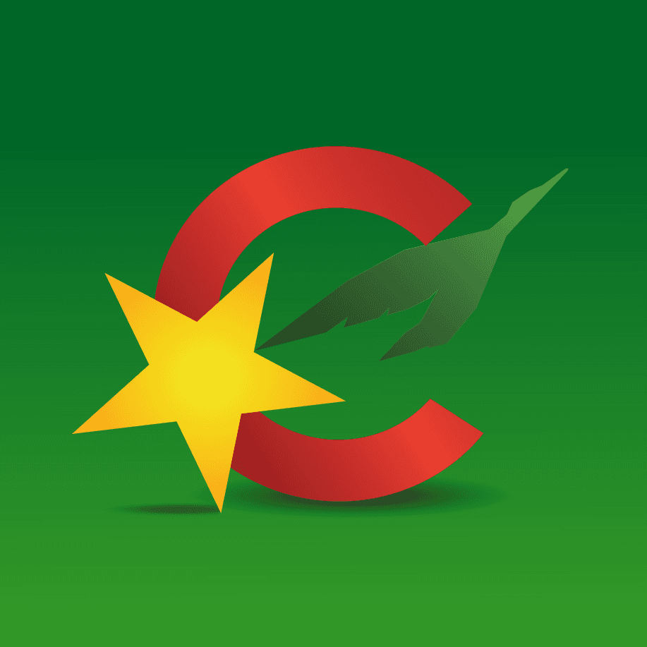 Camair-Co color logo