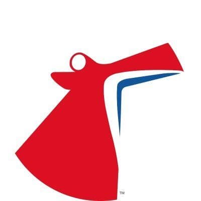 Carnival Cruise color logo