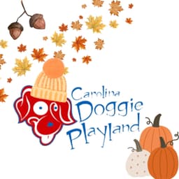 to Carolina Doggie Playland