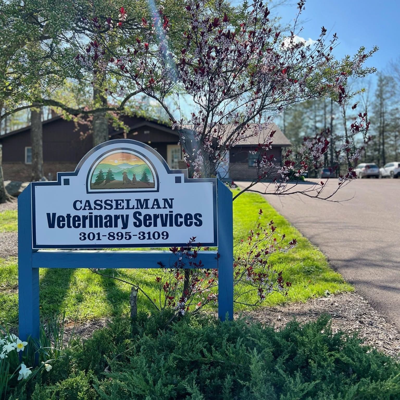 Casselman Veterinary color logo