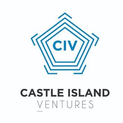 Castle Island color logo