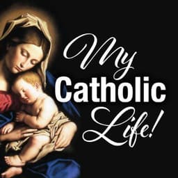 Catholic Daily Reflections