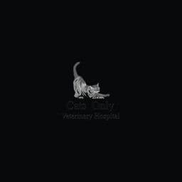 Cats Only Vet Hospital