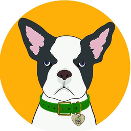 CBD DOG HEALTH
