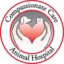 CCAH color logo