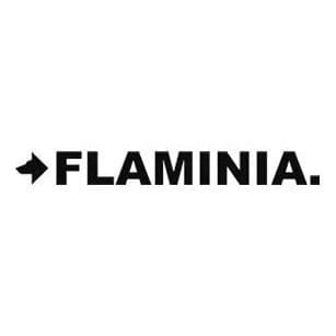 Ceramica Flaminia color logo