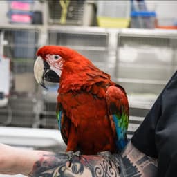 Chadwell Animal Hospital