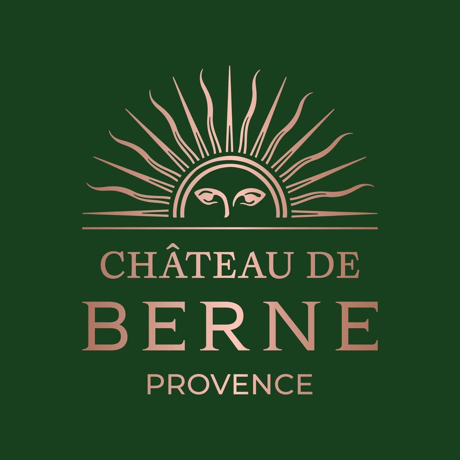 Château de Berne color logo