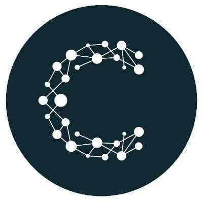 Cheetah Digital color logo