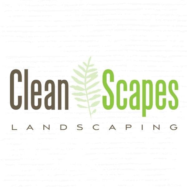 Clean Scapes color logo