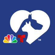 Clear the Shelters